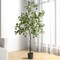 Eucalyptus Tree - Artificial Trees for Home Decor Indoor, Floor Plants for Living Room Decor, Faux Plants Indoor Tall, Faux Eucalyptus Tree, Artificial Plants for Home Decor Indoor - 6 Feet